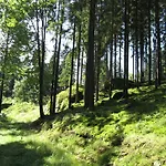 Zopfhaeusl Böbrach