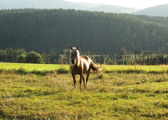 Zopfhaeusl Hébergement de vacances Böbrach