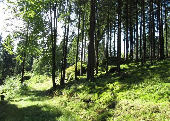 Zopfhaeusl Böbrach