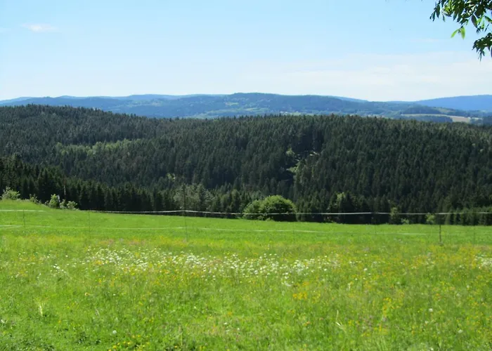 Zopfhaeusl * Böbrach