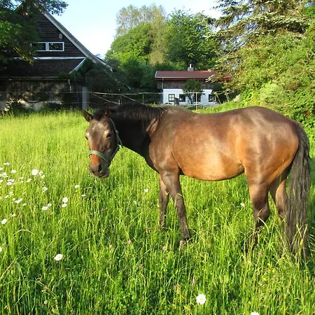 Zopfhäusl *