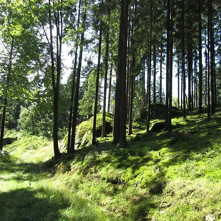 Zopfhaeusl Böbrach