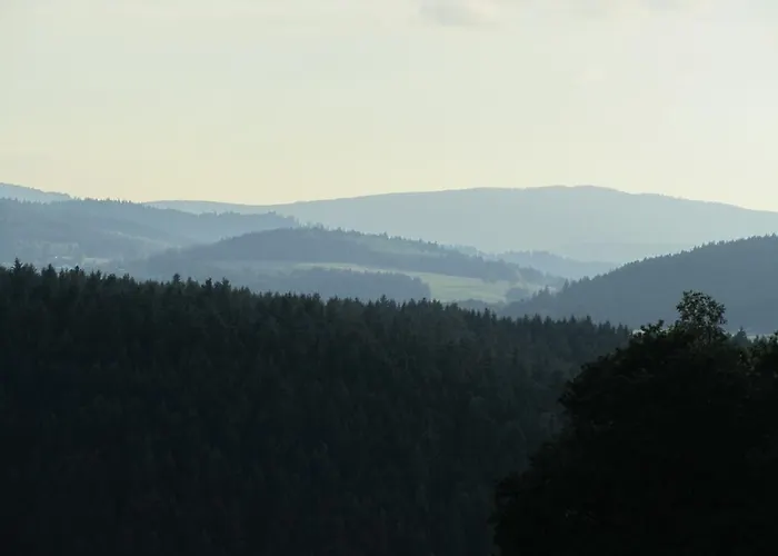 Zopfhaeusl Böbrach